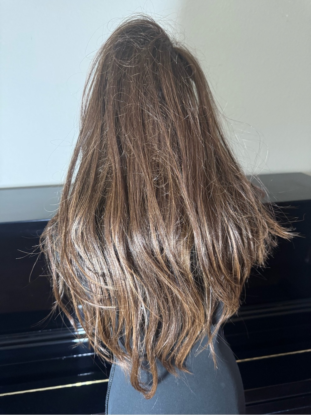 Brown Women's Wig